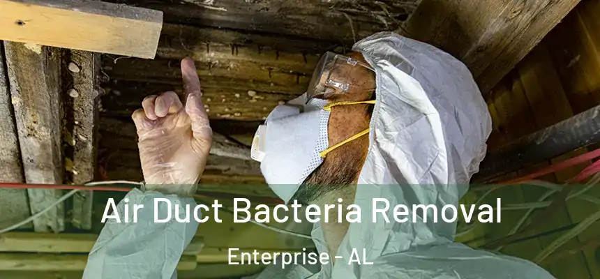 Air Duct Bacteria Removal Enterprise - AL