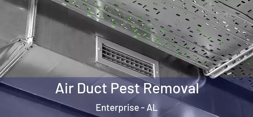  Air Duct Pest Removal Enterprise - AL