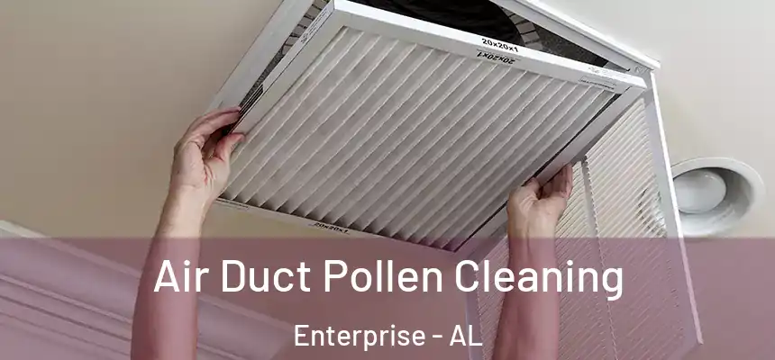 Air Duct Pollen Cleaning Enterprise - AL