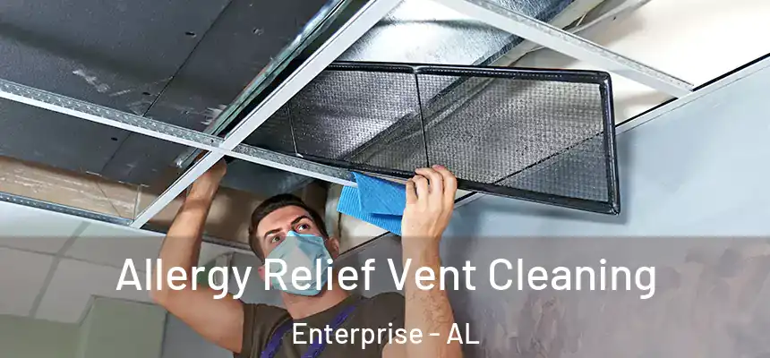  Allergy Relief Vent Cleaning Enterprise - AL