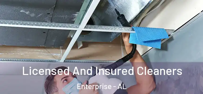 Licensed And Insured Cleaners Enterprise - AL