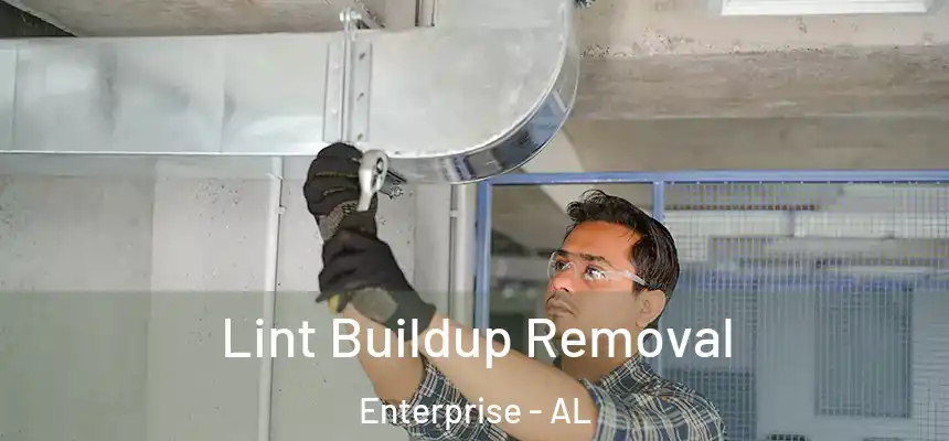  Lint Buildup Removal Enterprise - AL