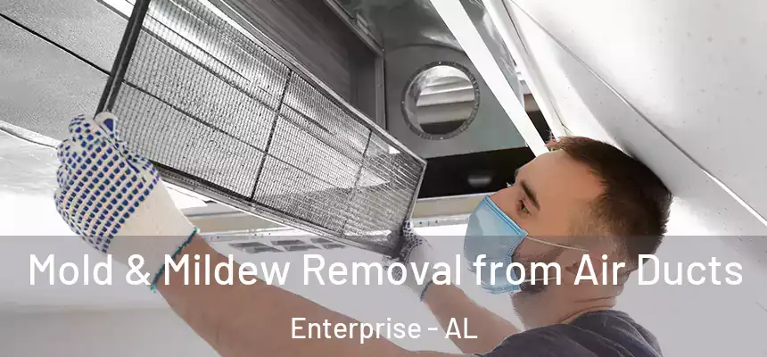 Mold & Mildew Removal from Air Ducts Enterprise - AL