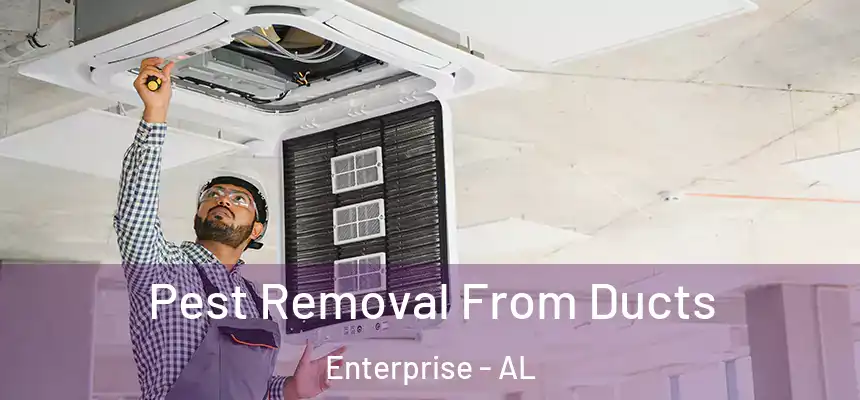 Pest Removal From Ducts Enterprise - AL