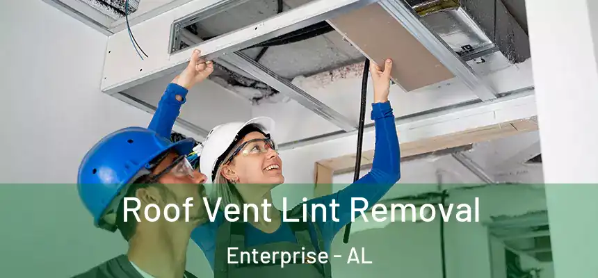  Roof Vent Lint Removal Enterprise - AL