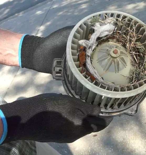 About Air Duct Mice Removal in Enterprise, AL