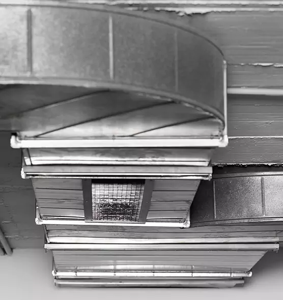 Professional Air Duct Pest Removal in Enterprise, AL