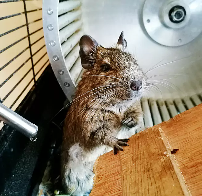 Why Homeowners & Businesses Trust Us Enterprise, AL