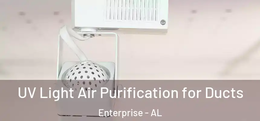  UV Light Air Purification for Ducts Enterprise - AL
